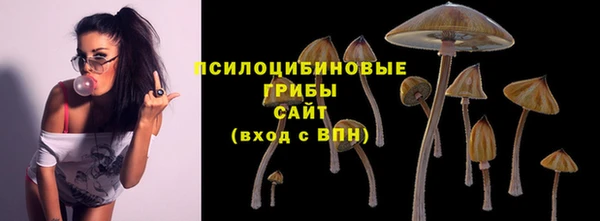 бошки Алексеевка