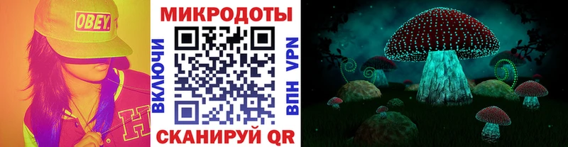 даркнет сайт mega ТОР Галлюциногенные грибы Psilocybe Кропоткин