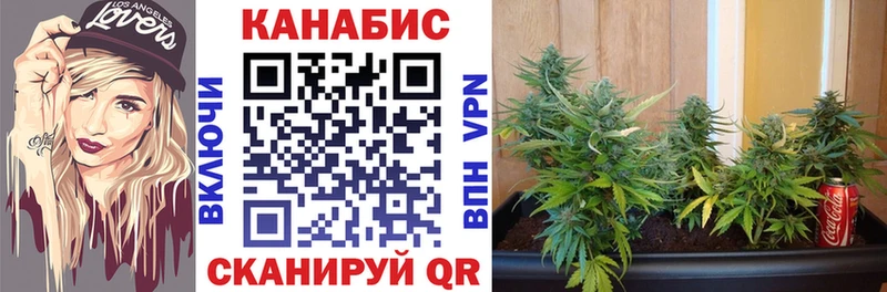 Бошки марихуана Bruce Banner где продают Кропоткин
